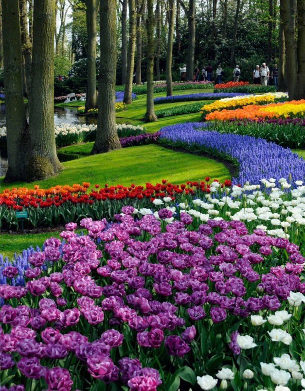 【予算25万円】（4泊5日）
アムステルダム🇳🇱

幸福度ランキング常連の国。
朝、街角から優しい楽器の音が聞こえてくる。🎷
ゆったりと時間が流れる、
心がほどけるような街。