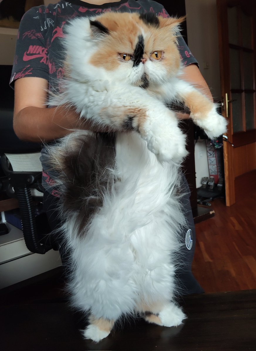 hola le cambié la skin a la lámpara ‼️‼️
no tengo foto de cómo estaba antes pero ahora mola más eso seguro