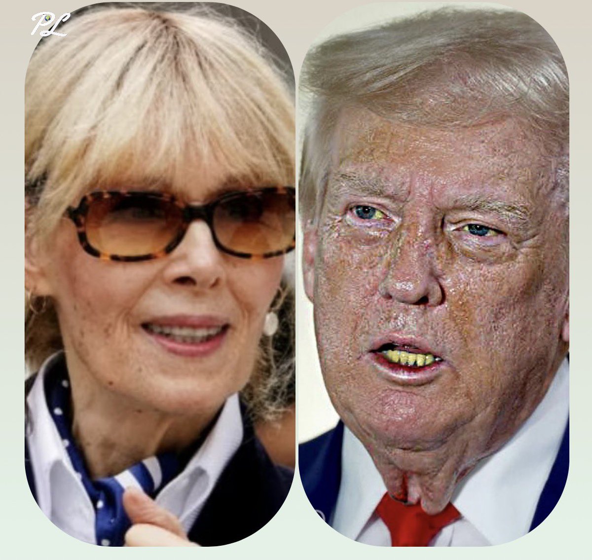 PopularLiberal's tweet image. WOW! A NEW BOMBSHELL UPDATE: A federal appeals court upheld E. Jean Carroll's $83 million judgment against Trump. Judges called his conduct "remarkably high, perhaps unprecedented." 

He owes nearly $90 million with interest. He raped her, defamed her for 5 years, sent death