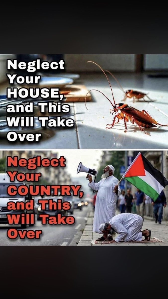 Bill B 🇺🇸 (@barue1) on Twitter photo 