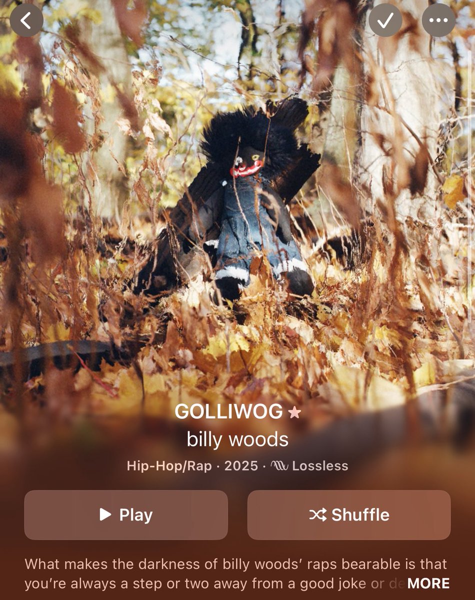 billy woods is the greatest writer of all time. im by no means a professor but im pretty well read, id put this album up against heart of darkness, Ulysses, finnegans wake, bleak house… its insane how cohesive, intricate, dense, layered and thoughtful it is.