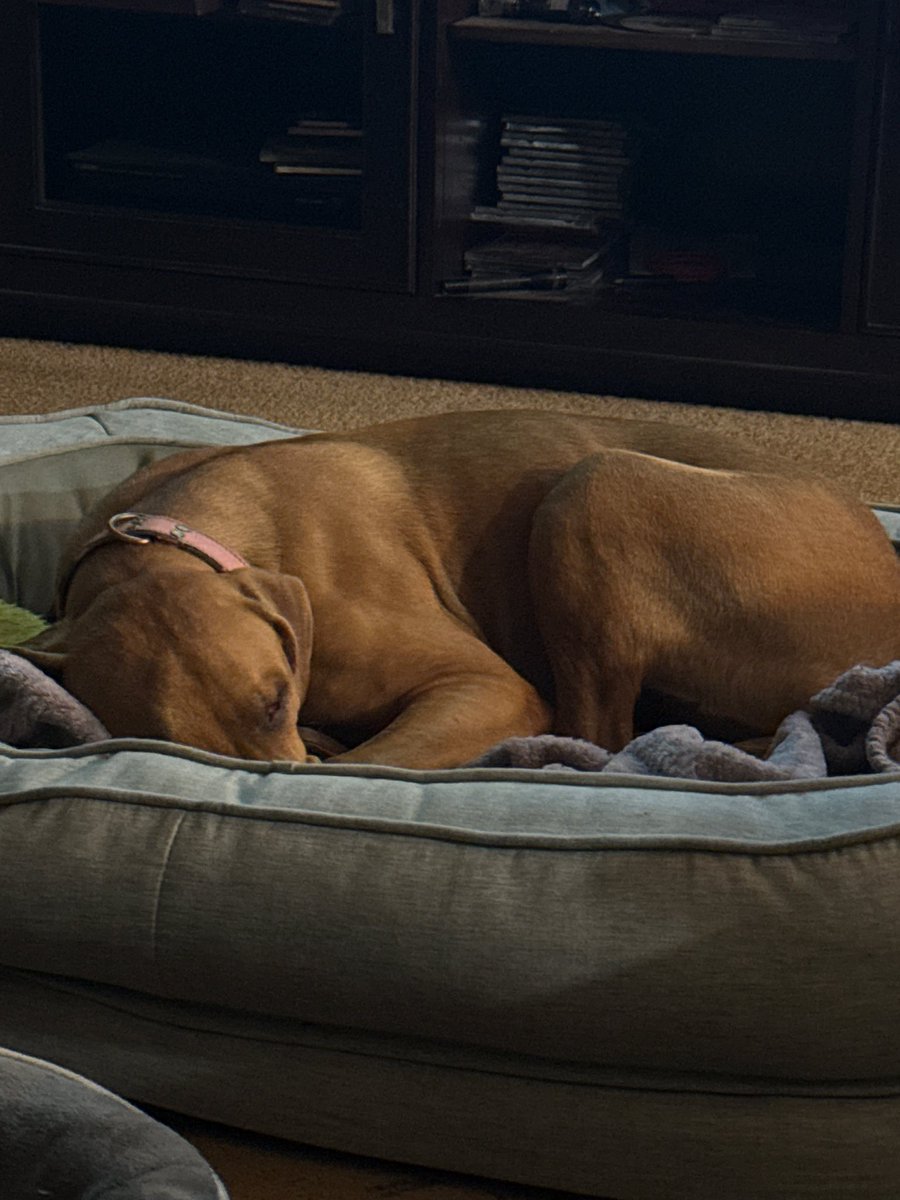 Thomas502582734's tweet image. Yes