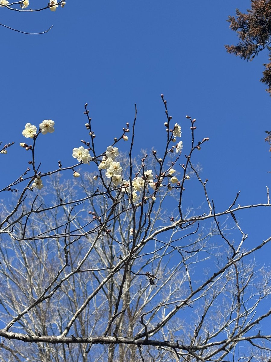 おはよう。
夢の中でも脚痛かった😭😭