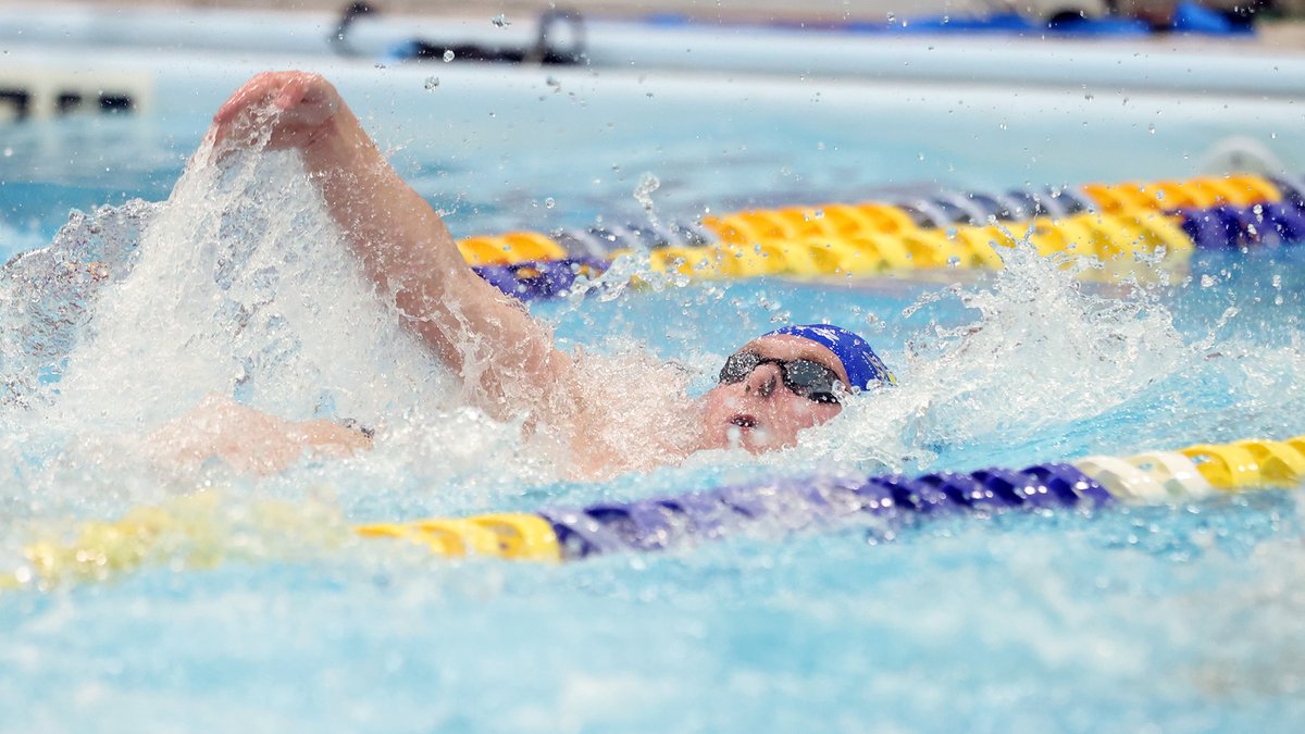 Jackrabbit Swim & Dive tweet media