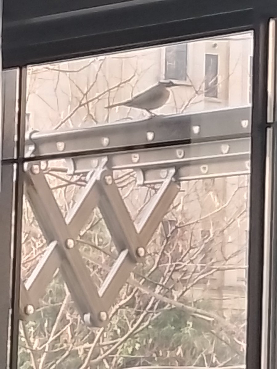 Autumnsun☀️ tweet media