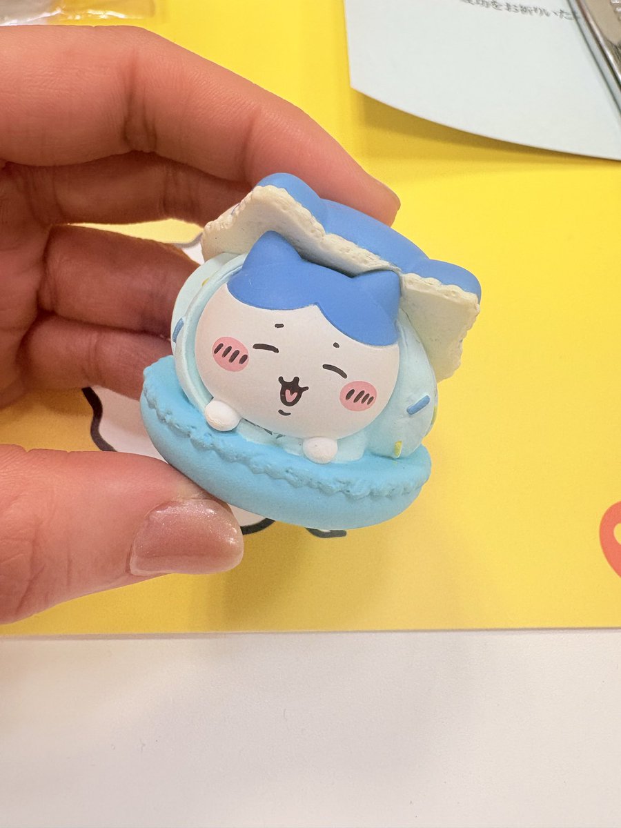 はちわれ様 あみにゃんから譲ってもらった🩵 ちいかわ交換会。