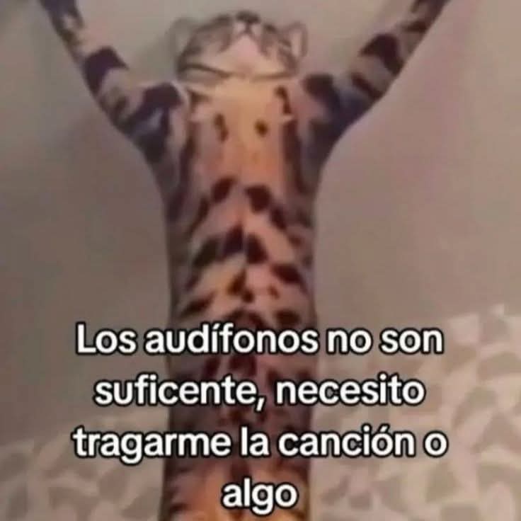 Nasty Poet (@nxstypxet) on Twitter photo 