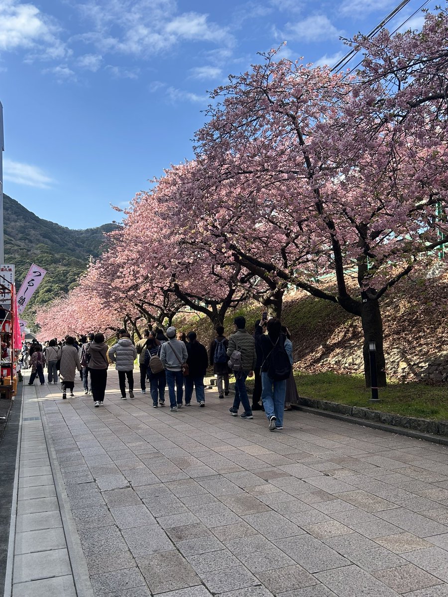 Post by とまさん☆彡 on X: 🌸