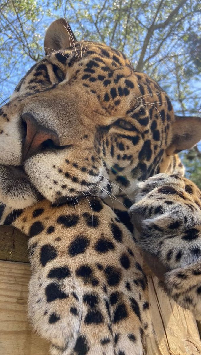 Beautiful views (@magicalnature5) on Twitter photo 