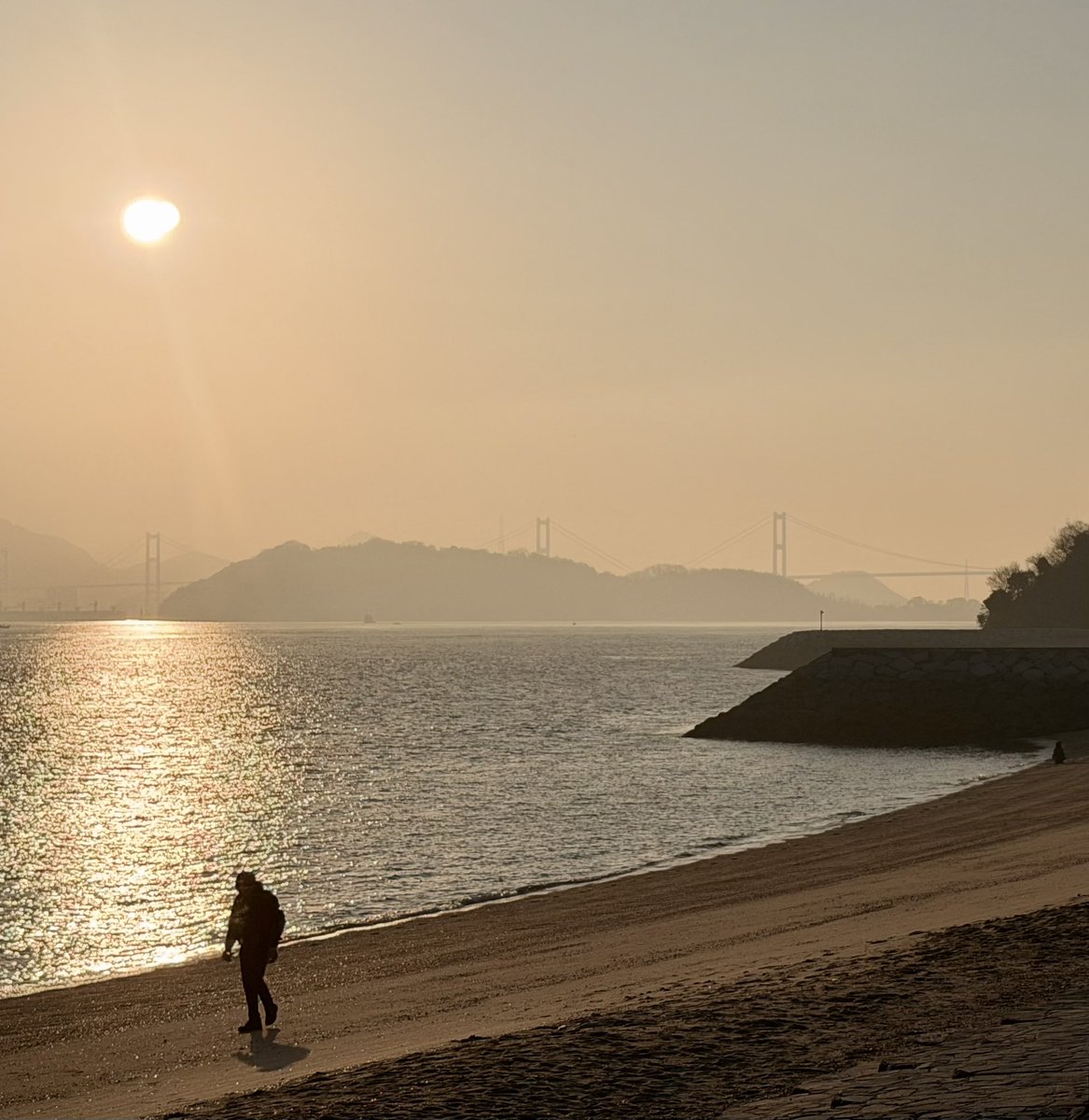 3ttdH6SOVbbcSP2's tweet image. 今日は河津桜🌸