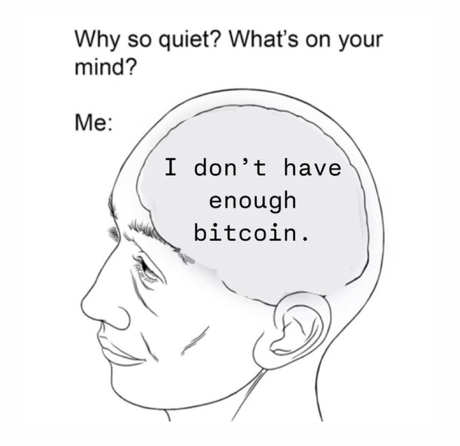 ⚡️Michael⚡️ (@michaelonbtc) on Twitter photo 