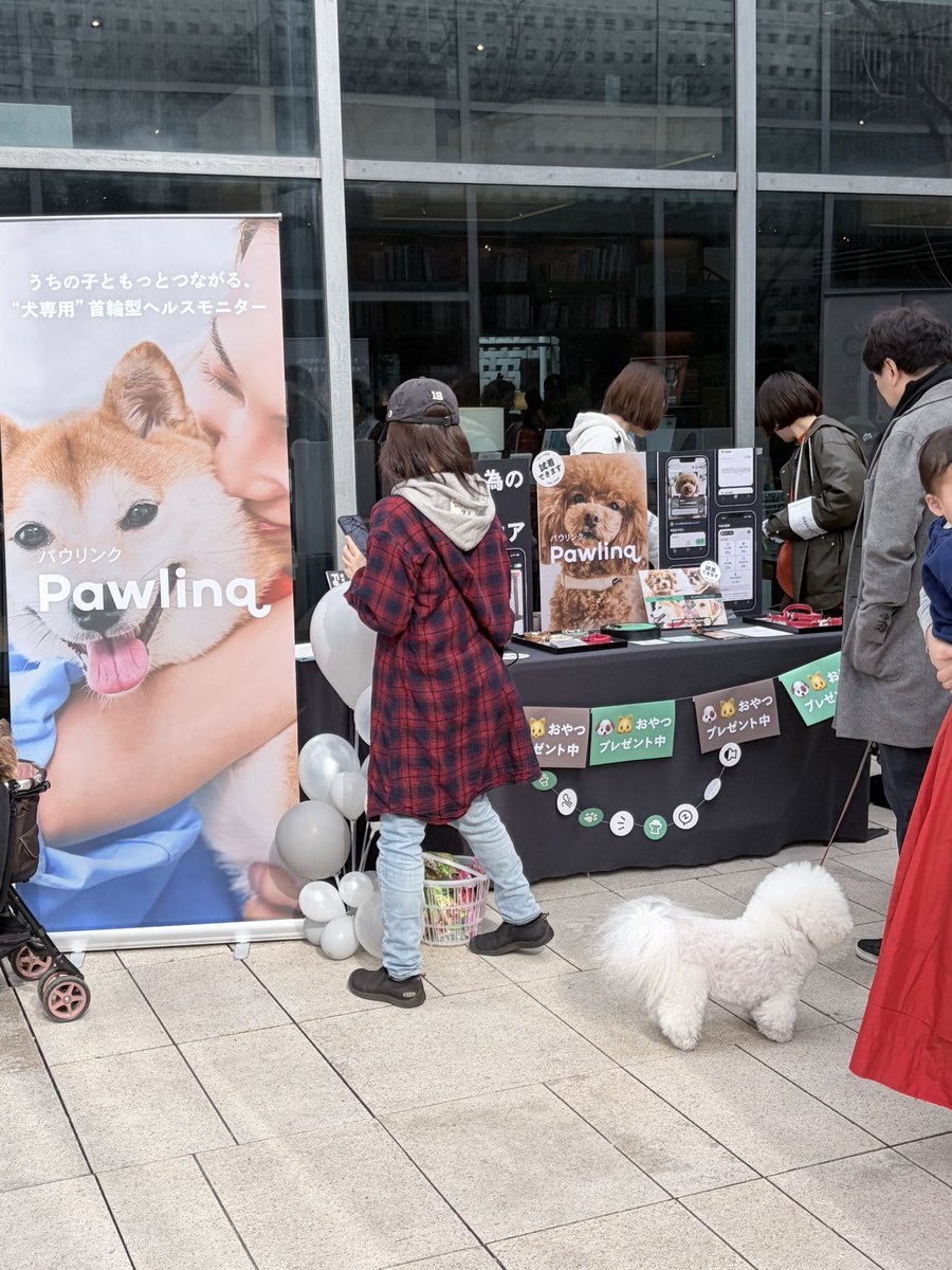 手嶋浩己 (@tessy11) / Posts / X