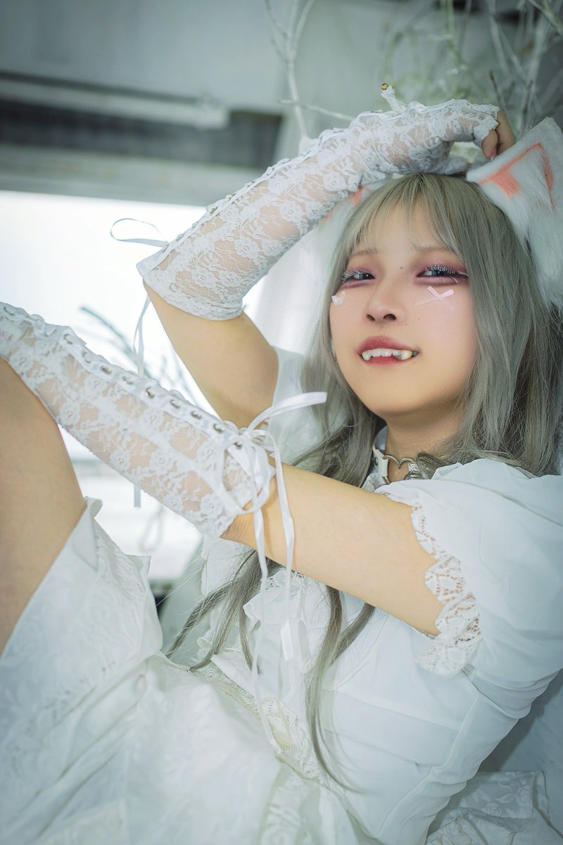 白猫 #猫の日 #寝猫にゃろ さん@Neneko_REFINE_ #REFINE撮影会