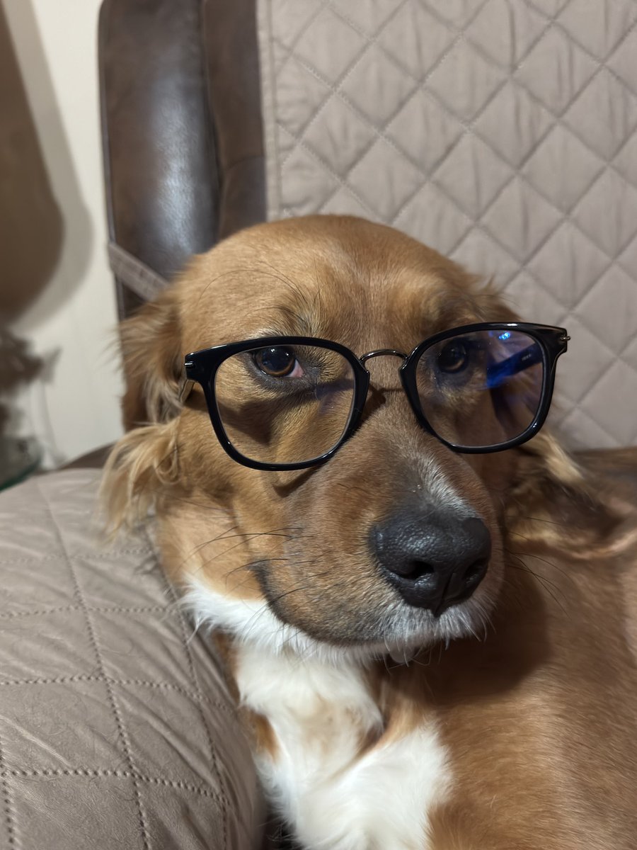 BroosGee's tweet photo. damn, that's crazy https://t.co/Nvtmr9KkfT