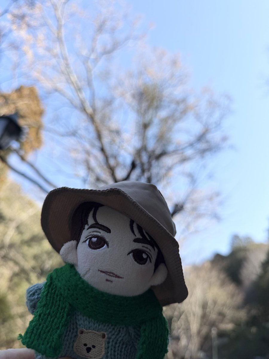 🌳