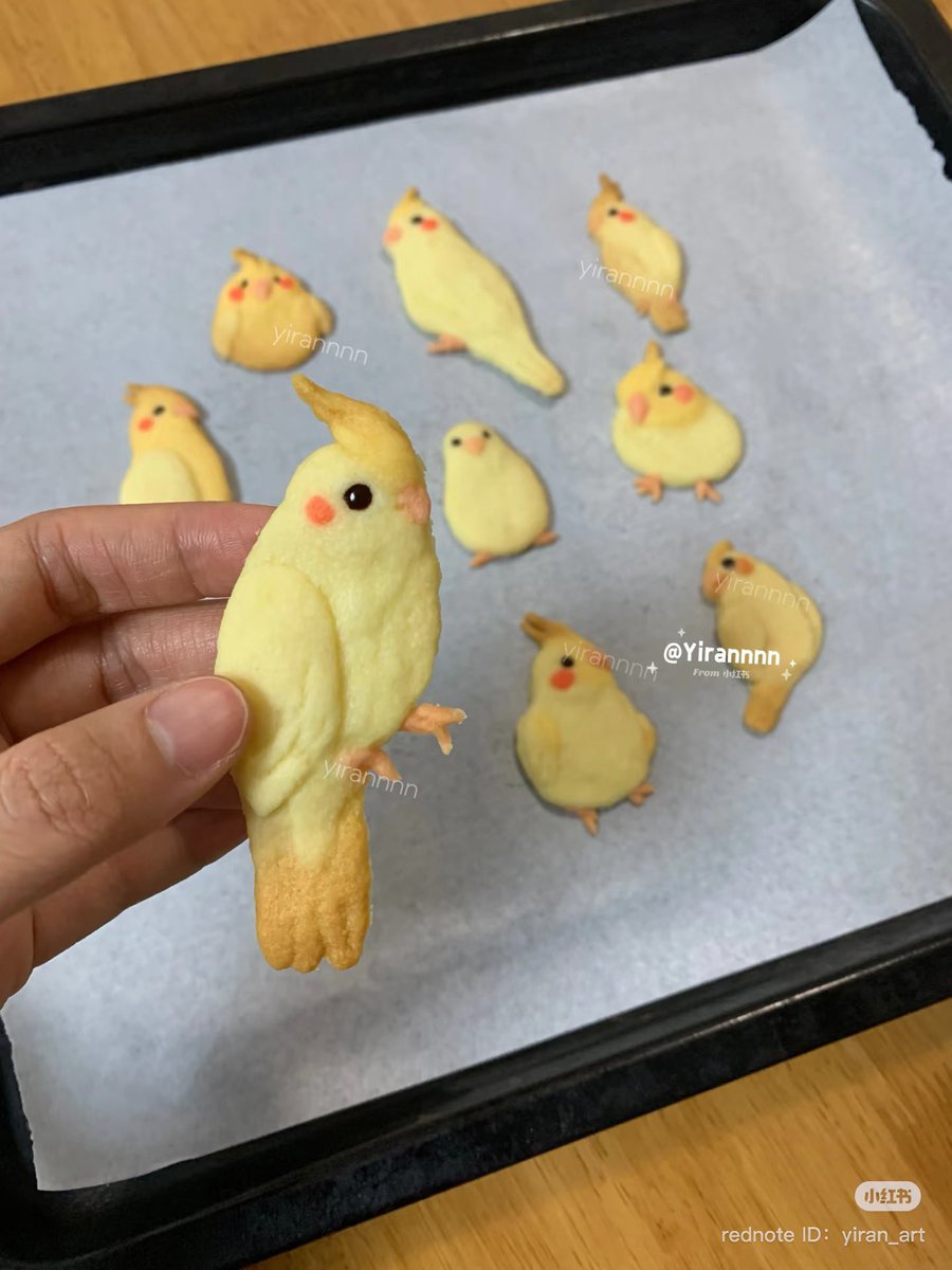 fairiehaze's tweet image. Bird cookies