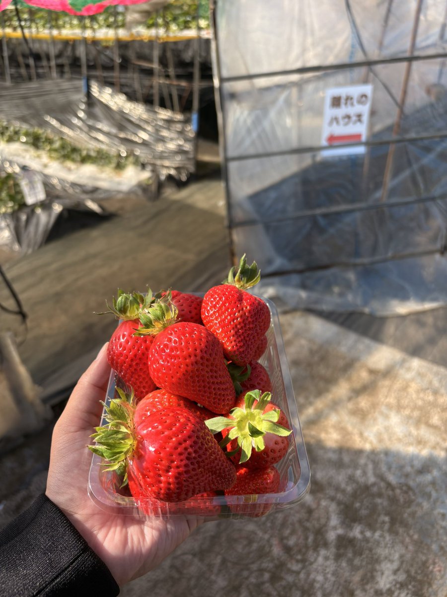 aventa56's tweet photo. みんなでたらふくいただきました！ https://t.co/rPzQL0de36