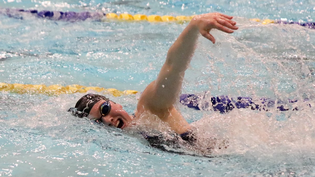 Jackrabbit Swim & Dive tweet media