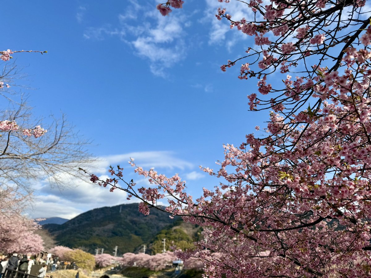 お菓子好きの会社員 tweet media