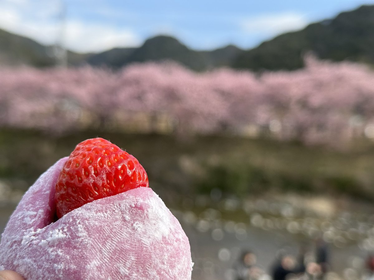 お菓子好きの会社員 tweet media