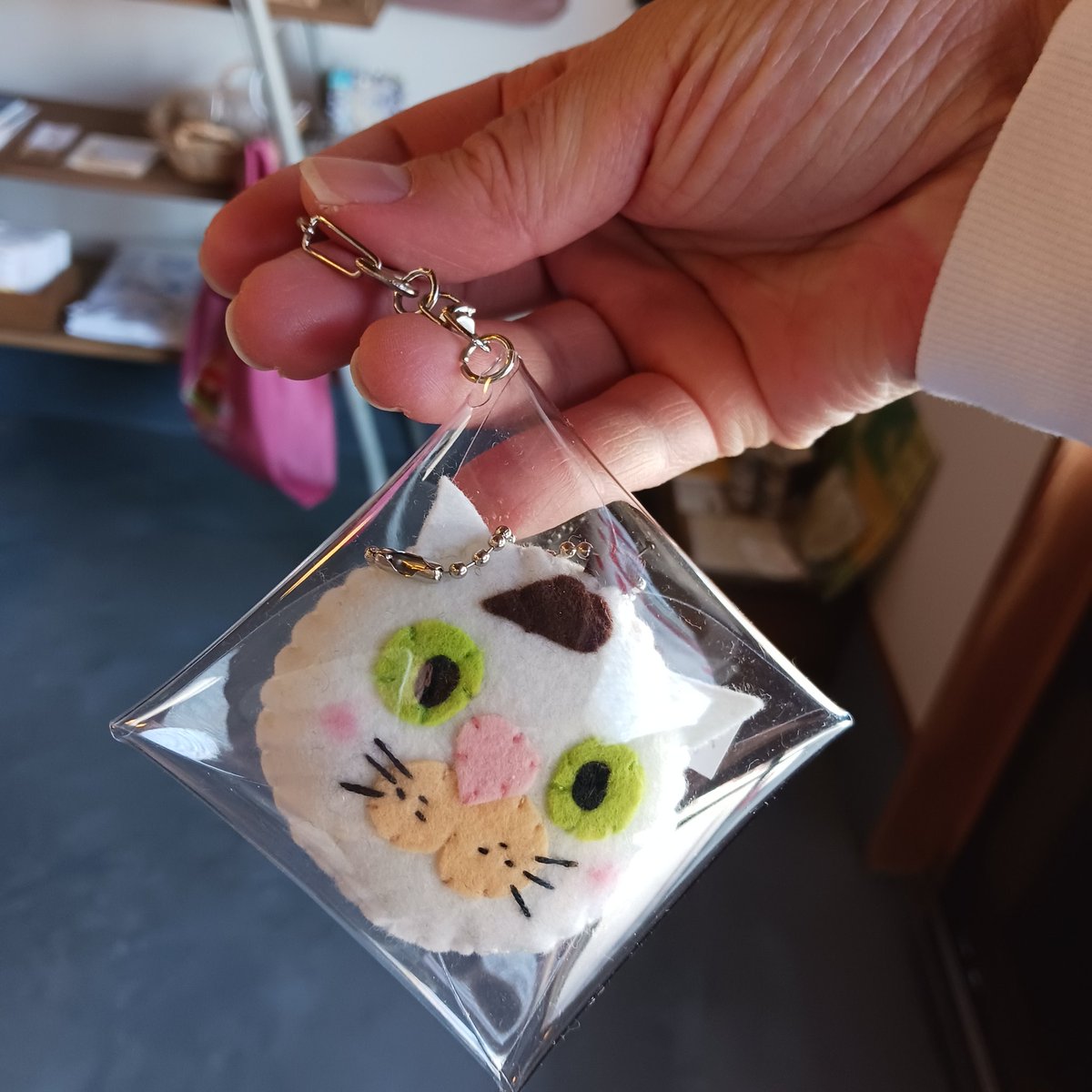 おはようございます。 やってきました、猫の日！ 白猫堂ノスタルジック