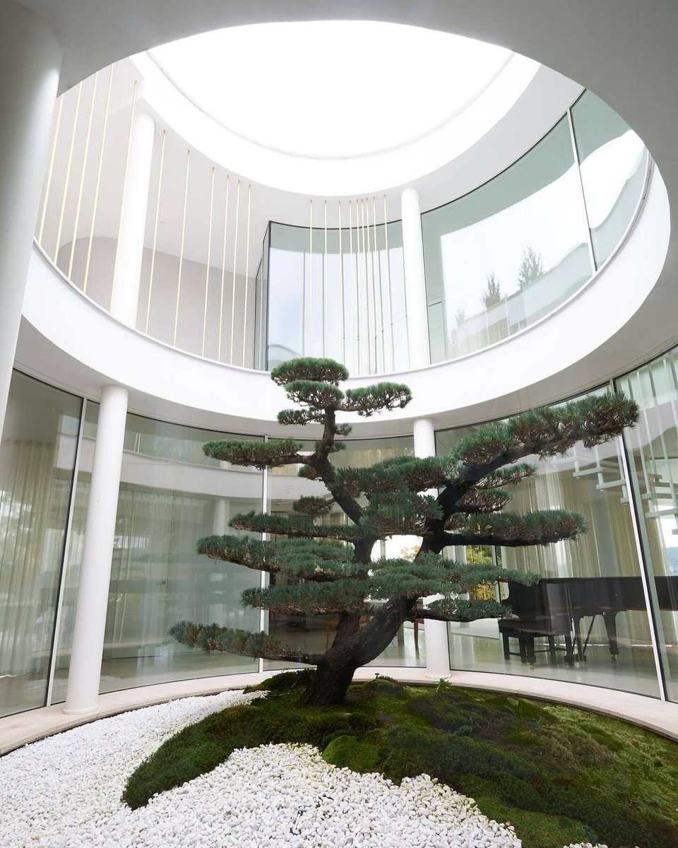 INTERIORBYHUT's tweet image. Indoor atriums 🌿

These are large open space inside a building covered by a glass roof or skylight designed to bring in natural light and create a sense of openness