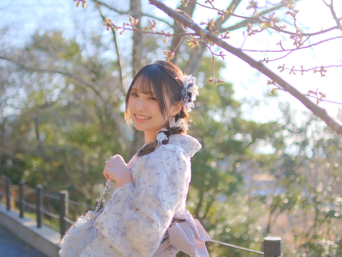 桜の蕾🌸