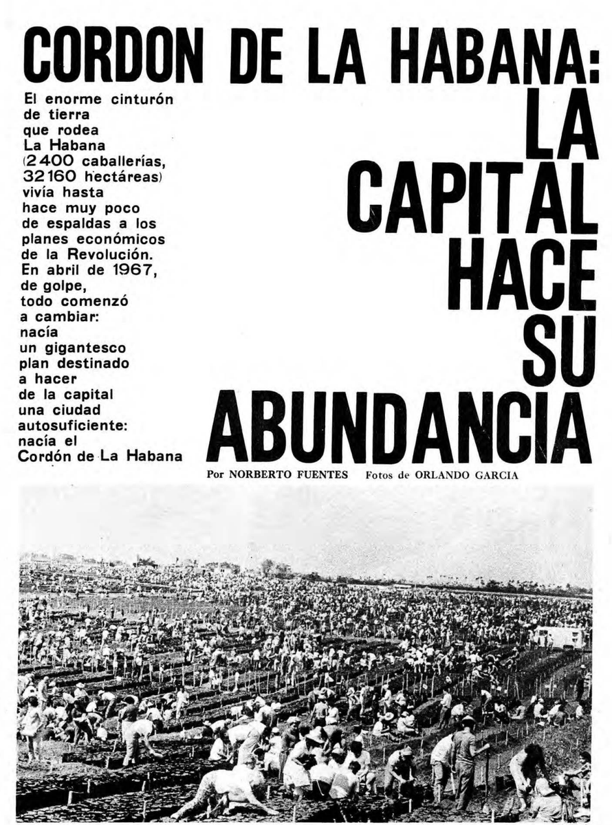 Zurdo de mierda, tu país nunca ha tenido a un rey Midas del desastre como Fidel Castro, que inventó un proyecto fracasado antes de empezar, llamado Cordón de La Habana. 

Un día cualquiera, había hasta 15 mil personas rellenando bolsitas de polietileno con tierra.

Se cerraban