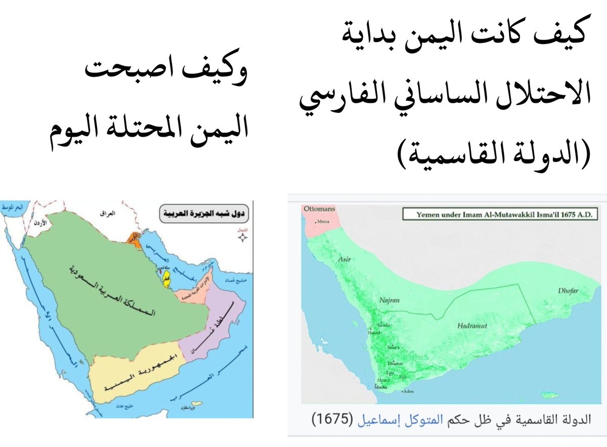 شاهد tweet media
