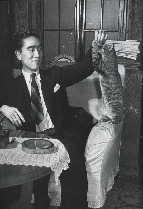 shinjisumaru's tweet image. 猫の日ということで三島由紀夫と猫。