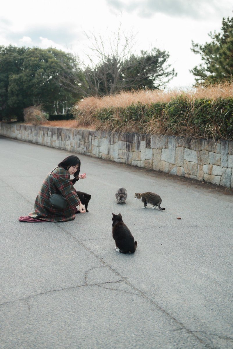 Post by なつみ。 on X: #猫の日