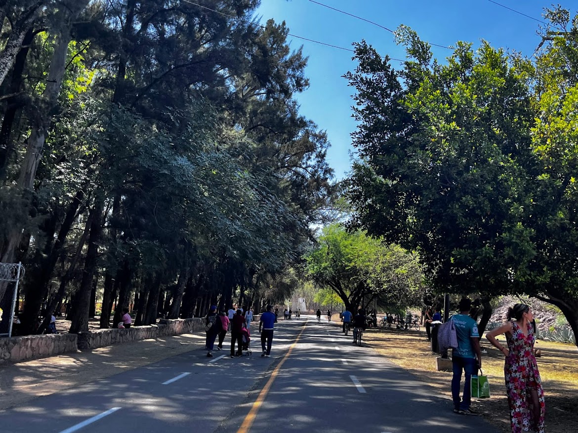 enterateleon's tweet photo. #AvanzaLeón 🌳🙌🏻 @parkmetroleon se consolida como un espacio incluyente y asegura el acceso gratuito a las personas adultas mayores, registrando el acceso de más de 34 mil adultos mayores en 2025. @municipio_leon 
👉🏻 https://t.co/5QN0kFfs6p https://t.co/MrIpdBV5BF