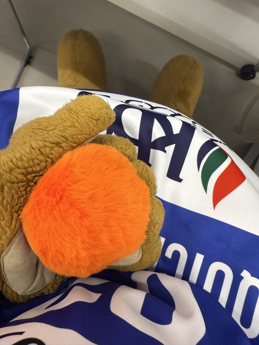 【公式】クイッキー・デッチ tweet media