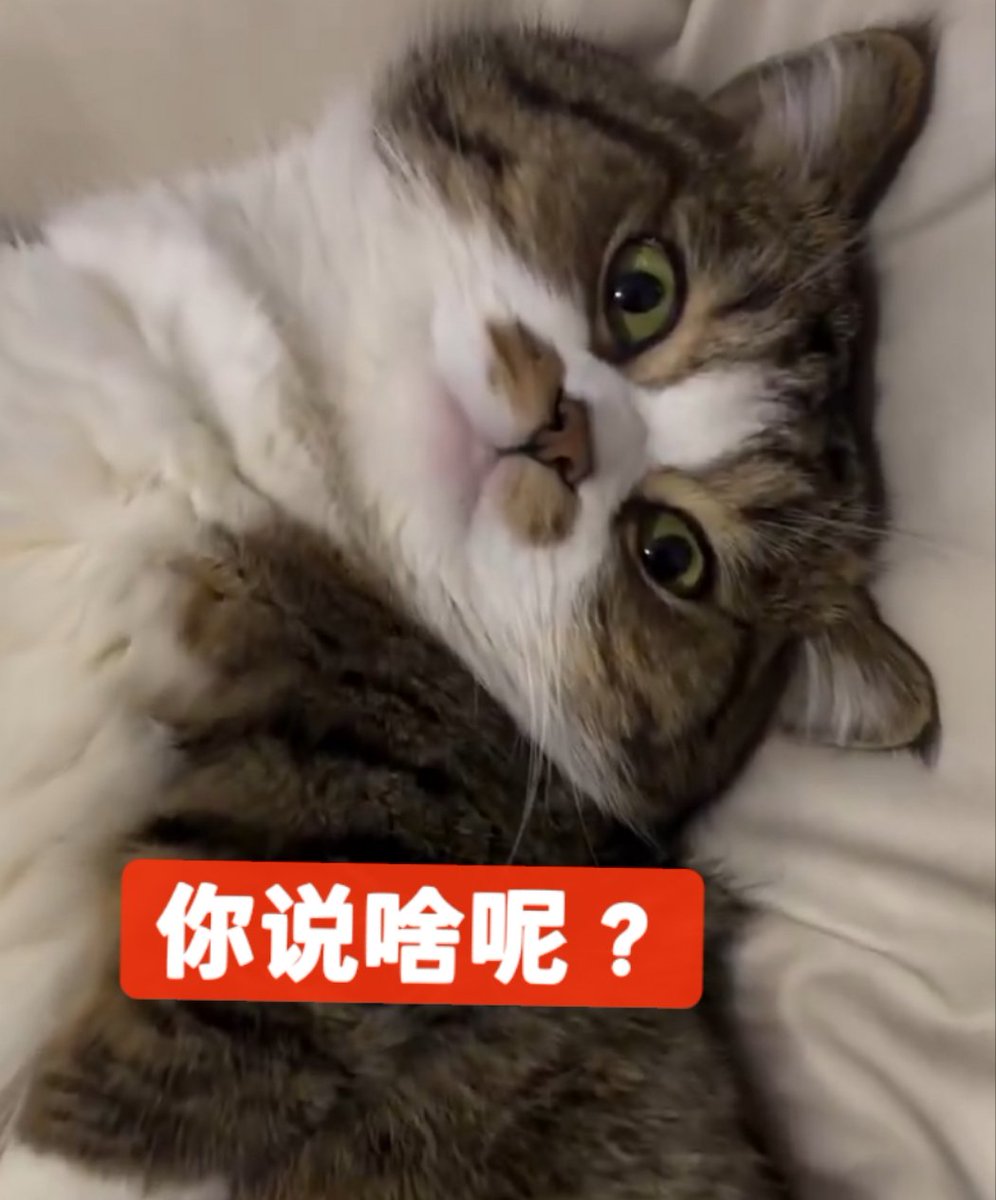 /•᷅‎‎•᷄\୭⋆°✩ ๋࣭ tweet media