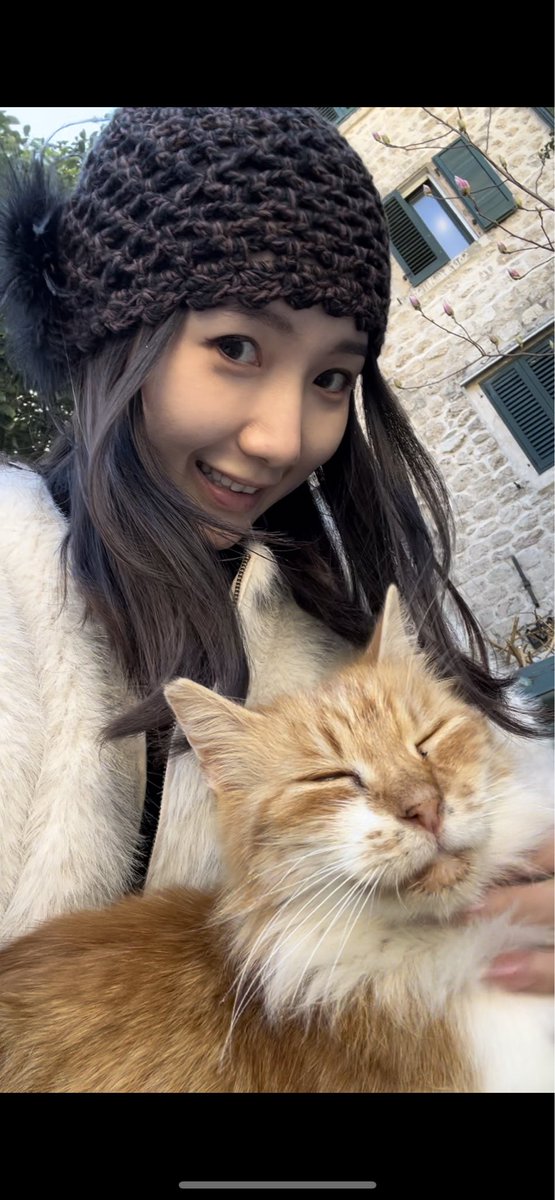 yy F (@fairy_cabbage) on Twitter photo 