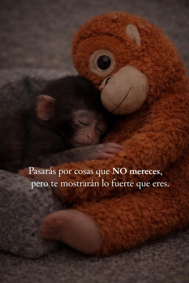 Lonely🥀 (@angelo_uf) on Twitter photo 