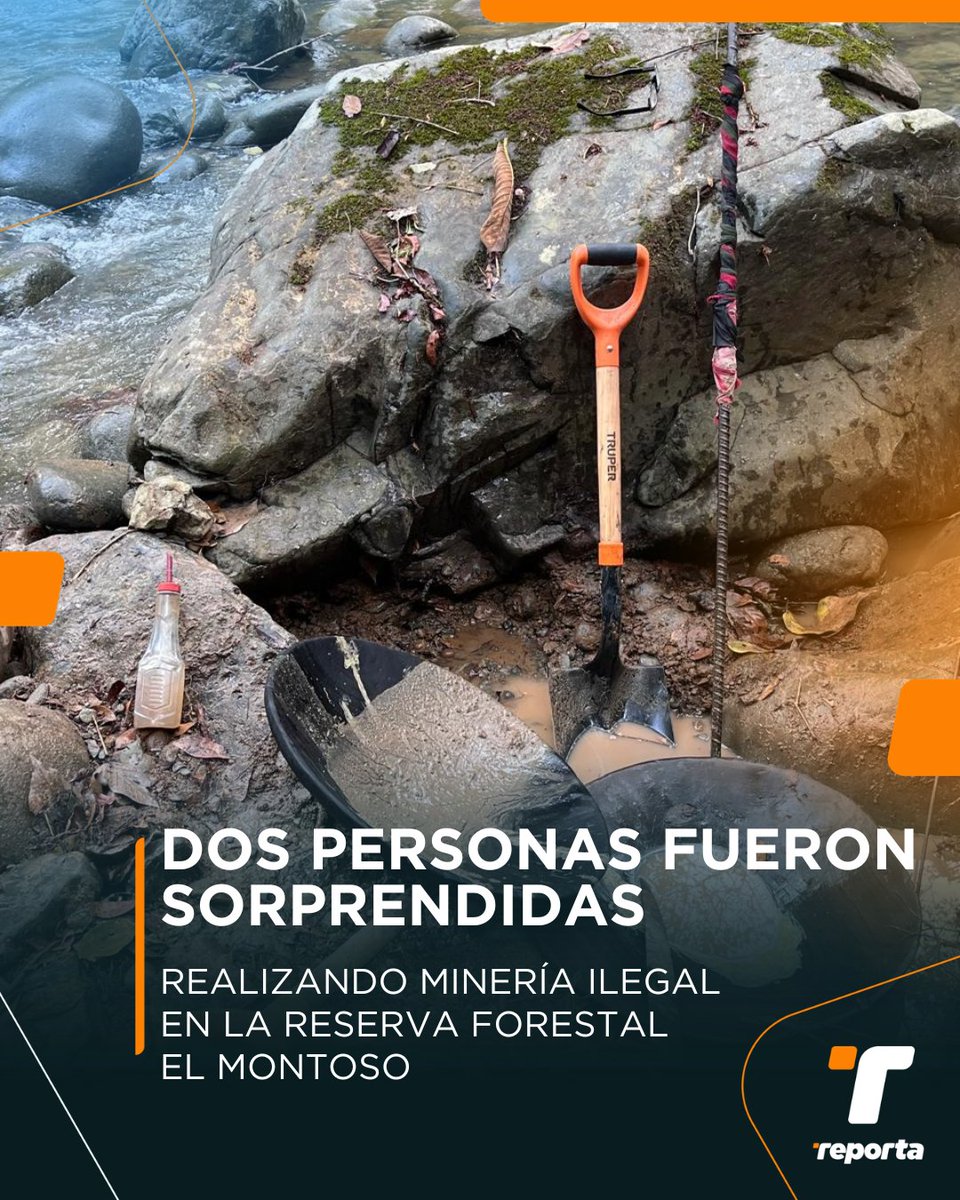 TReporta's tweet image. Guardaparques de @MiAmbientePma  y unidades de la Policía Ambiental aprehendieron a dos personas que fueron sorprendidas  realizando minería ilegal en el cauce del río Tebario, dentro de Reserva Forestal El Montoso.

El hombre y la mujer portaban tres platos de madera para lavar