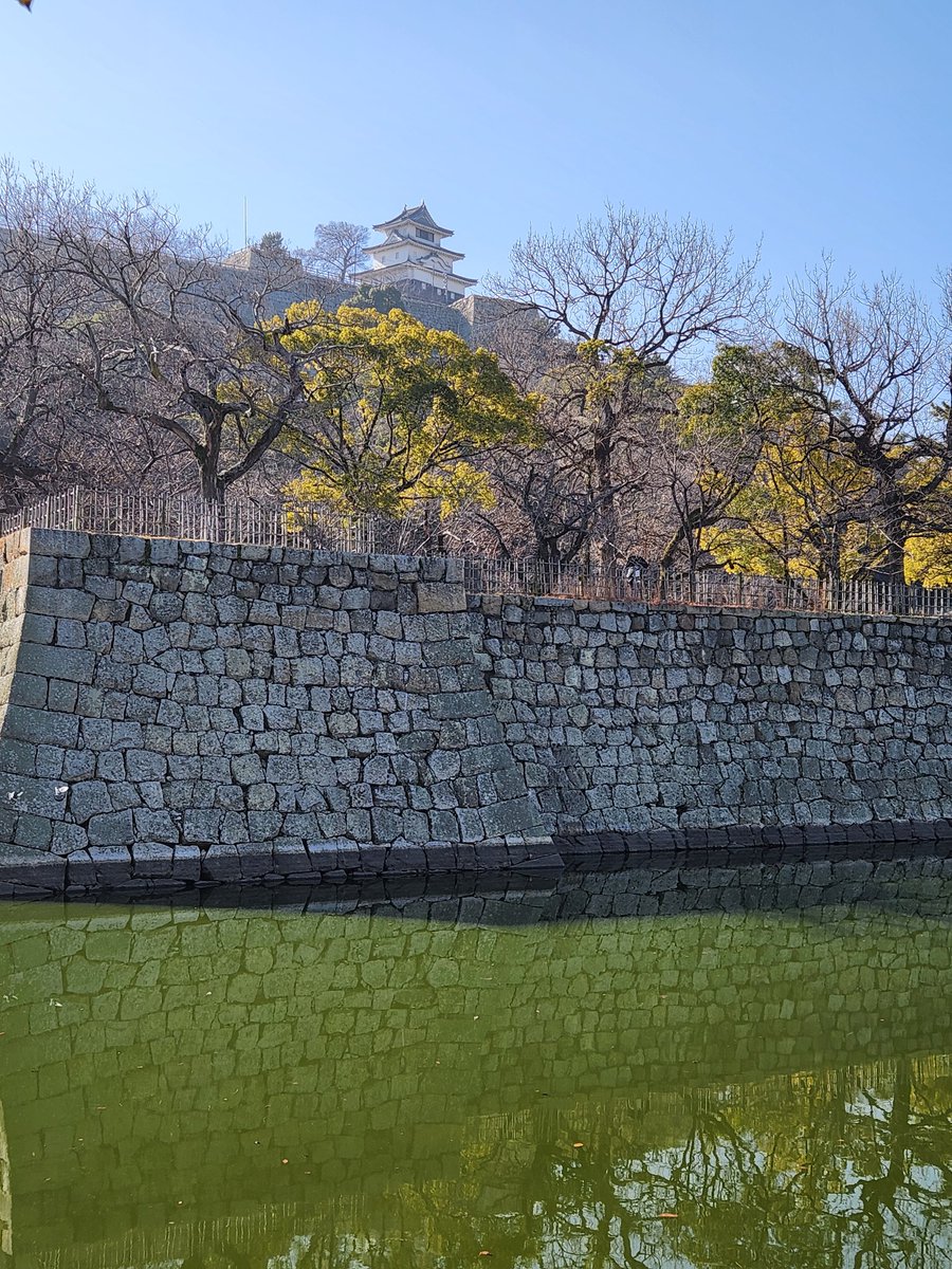 丸亀城へ 上るのしんどいけど景色がすごく良い #albirex #新潟サポ讃岐遠征