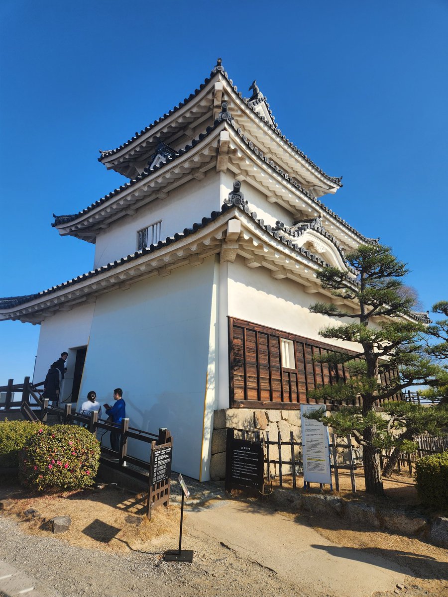 丸亀城へ 上るのしんどいけど景色がすごく良い #albirex #新潟サポ讃岐遠征