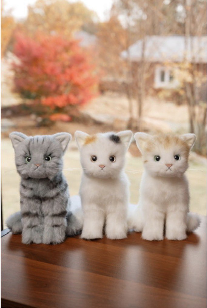 ぬいぐるみの童心【公式】🥺 (@Dousin_kawaii) / Posts / X