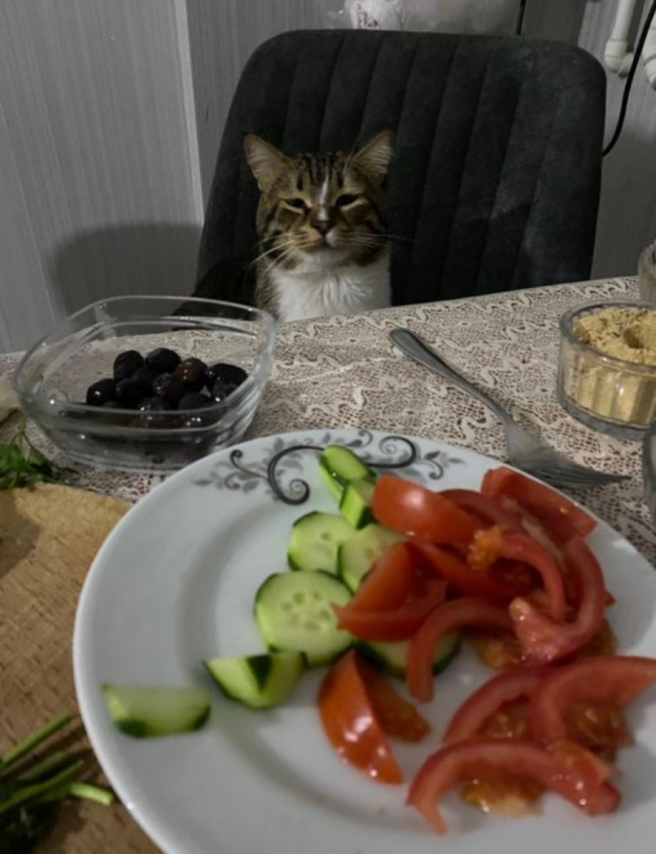 zorlanıyosan tutma bugün