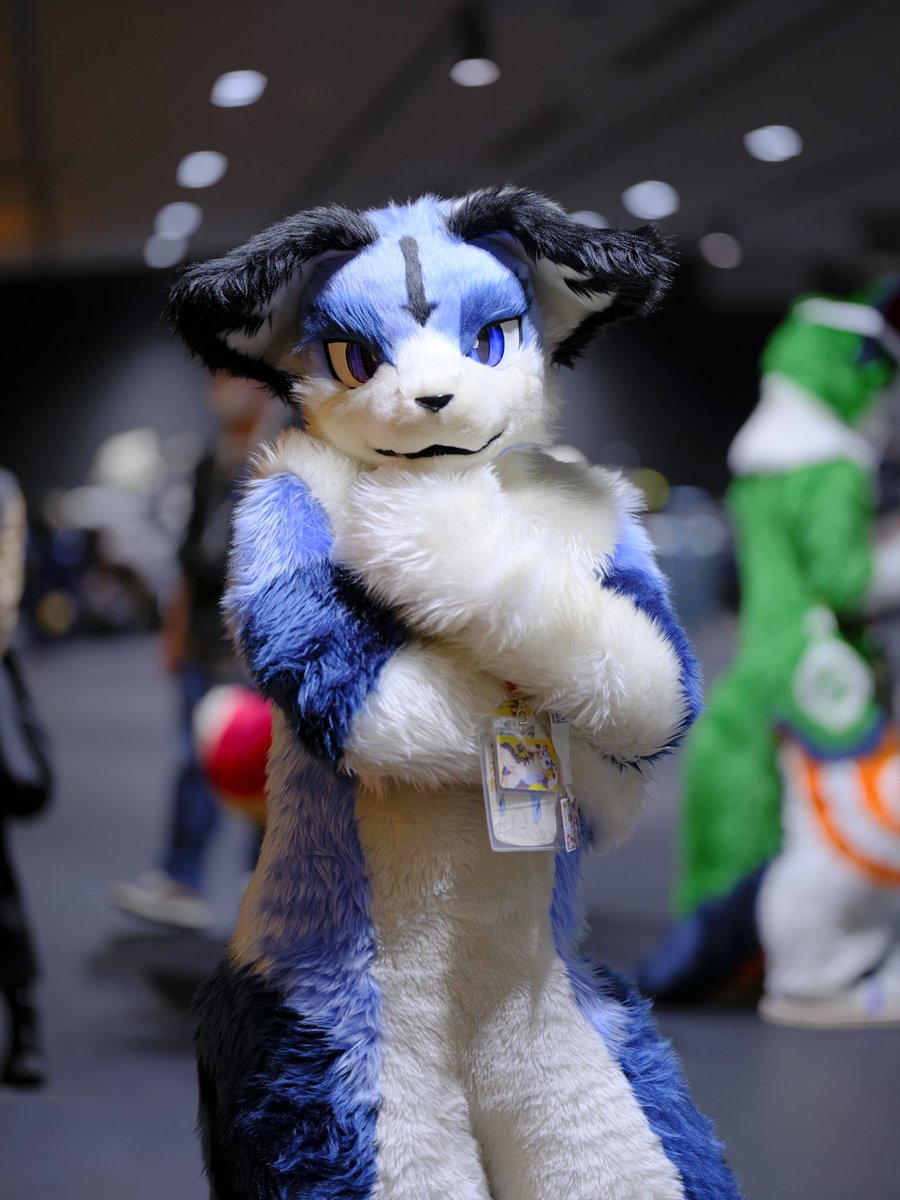 シエン(Shien) tweet media