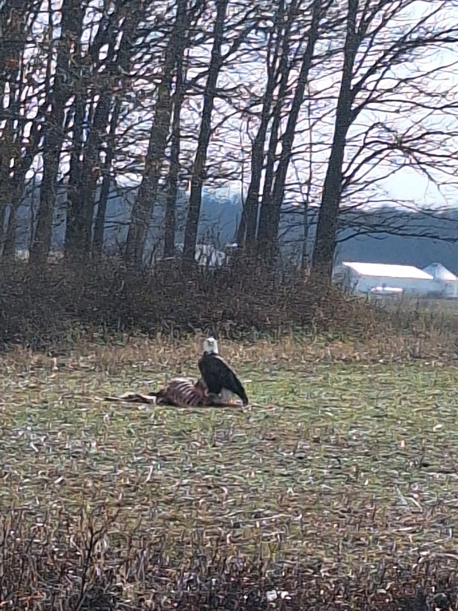 Jon lab pulse tweet media