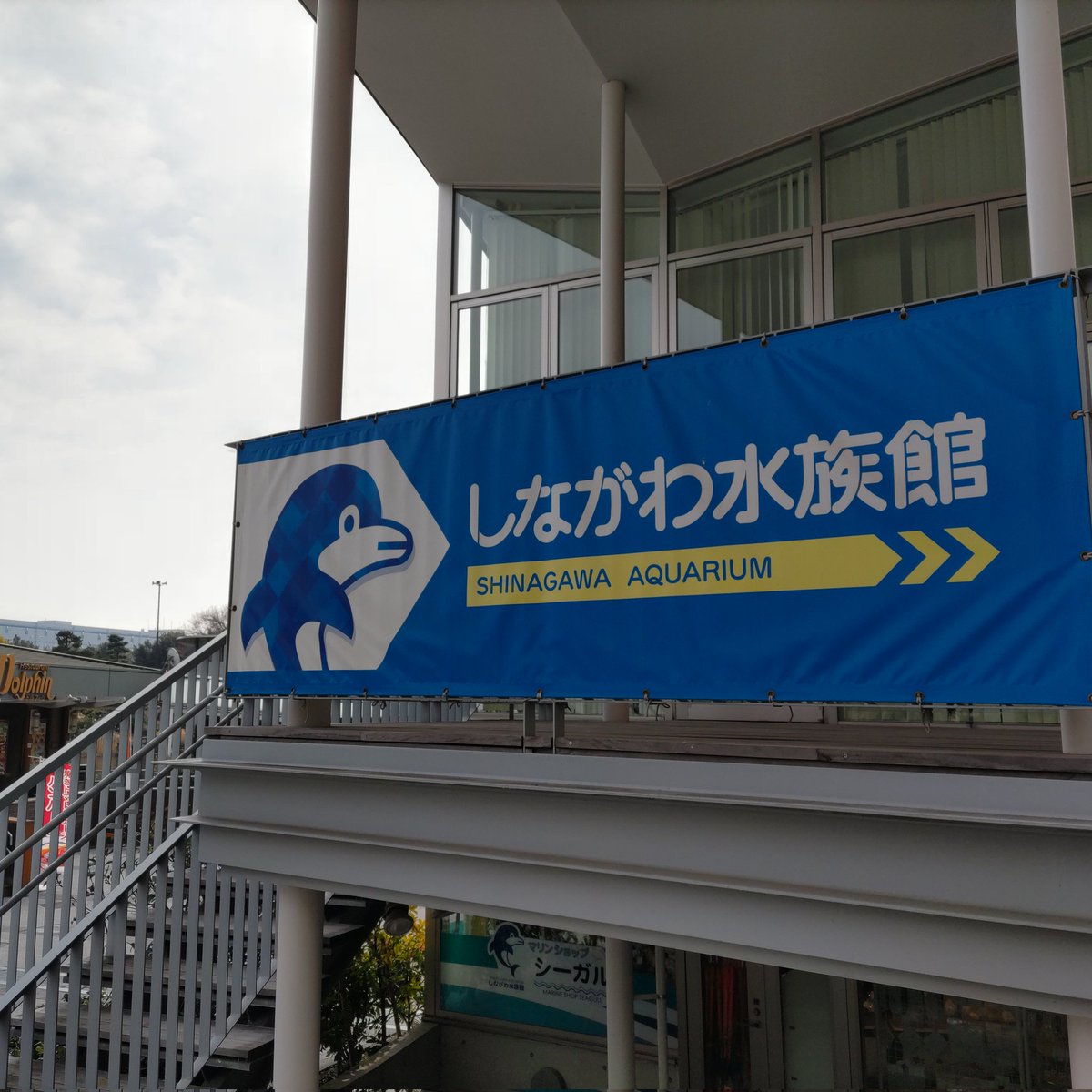 おたまる☆ (@cG1xy6XDajhoWyZ) / Posts / X