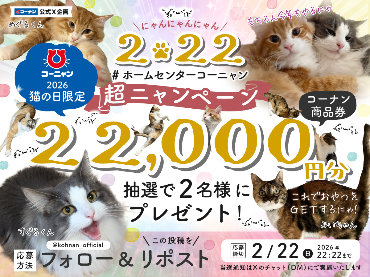 🐈 #ネコの日 超ニャンペーン🐈 本日2/22(日)だけの超スペシャル企画