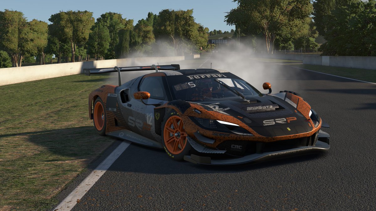 Finalizamos en un brutal P5 en las Bathurst 12h junto a <a href="/Stradi81/">Stradi</a> representando al equipo <a href="/SRPsimracingpro/">SRP SimRacing-Pro.com</a> , carrera perfecta y sin ningún error que nos ha permitido remontar 15 posiciones! Que placer cuando las cosas salen así.
En un mes, Sebring!