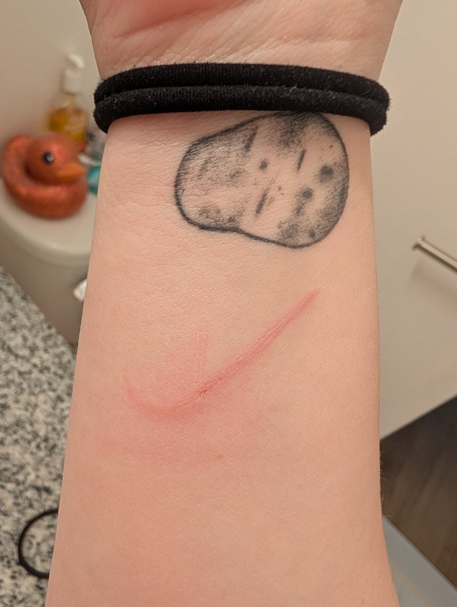 Sawyer is addicted to Pokopia 🦎 tweet media