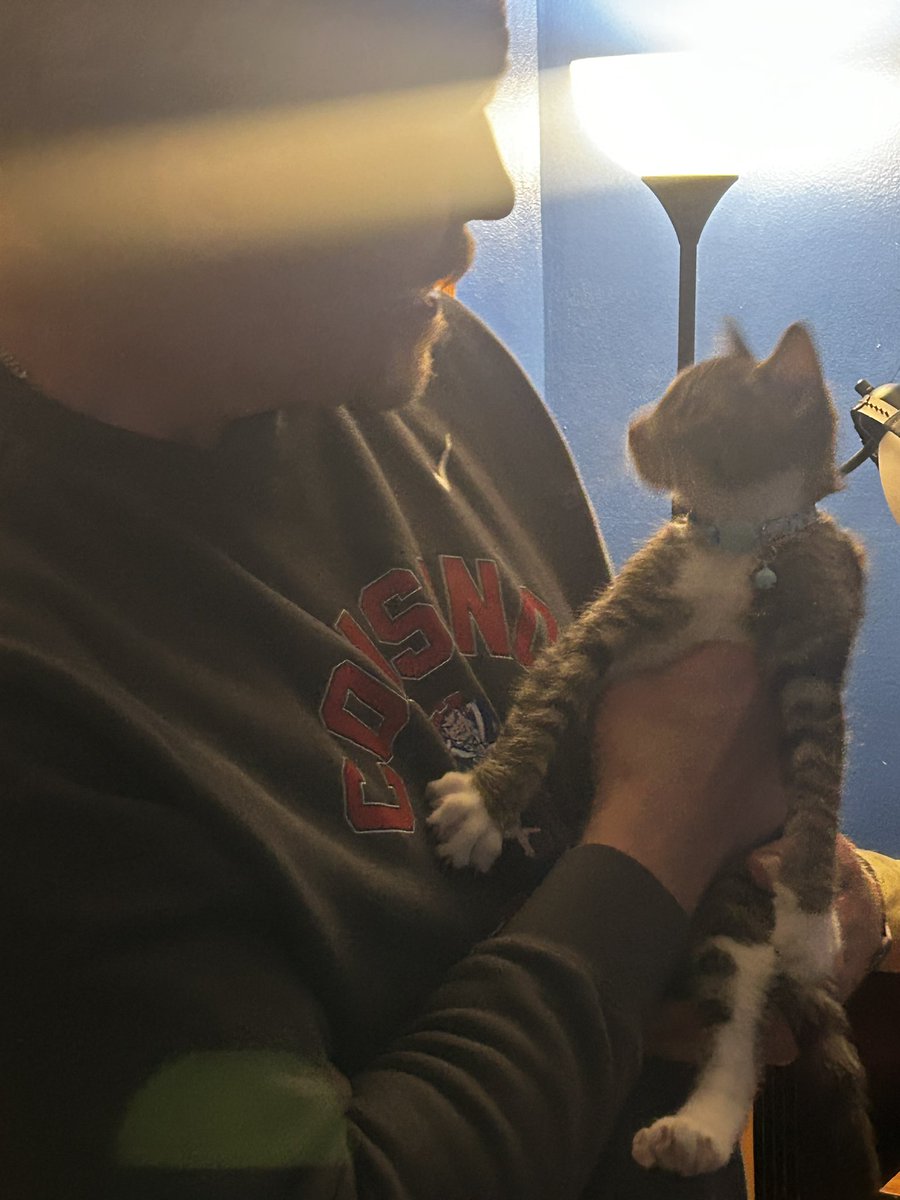 TheGreatEight3's tweet photo. The Great Eight was down to seven (RIP Whisper). We are back up to 8! Introducing Purrsephone! https://t.co/znjrhOHd2T
