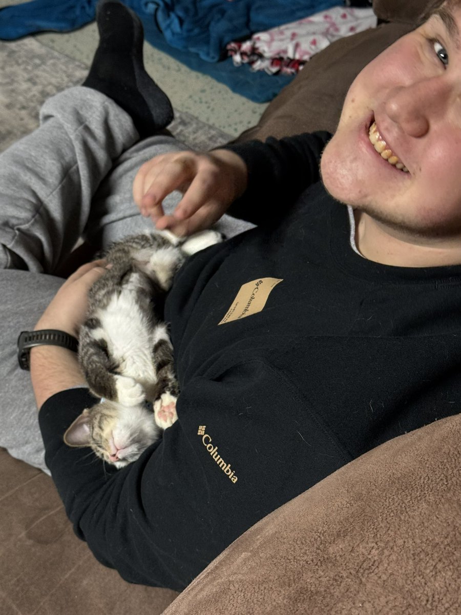 TheGreatEight3's tweet photo. The Great Eight was down to seven (RIP Whisper). We are back up to 8! Introducing Purrsephone! https://t.co/znjrhOHd2T