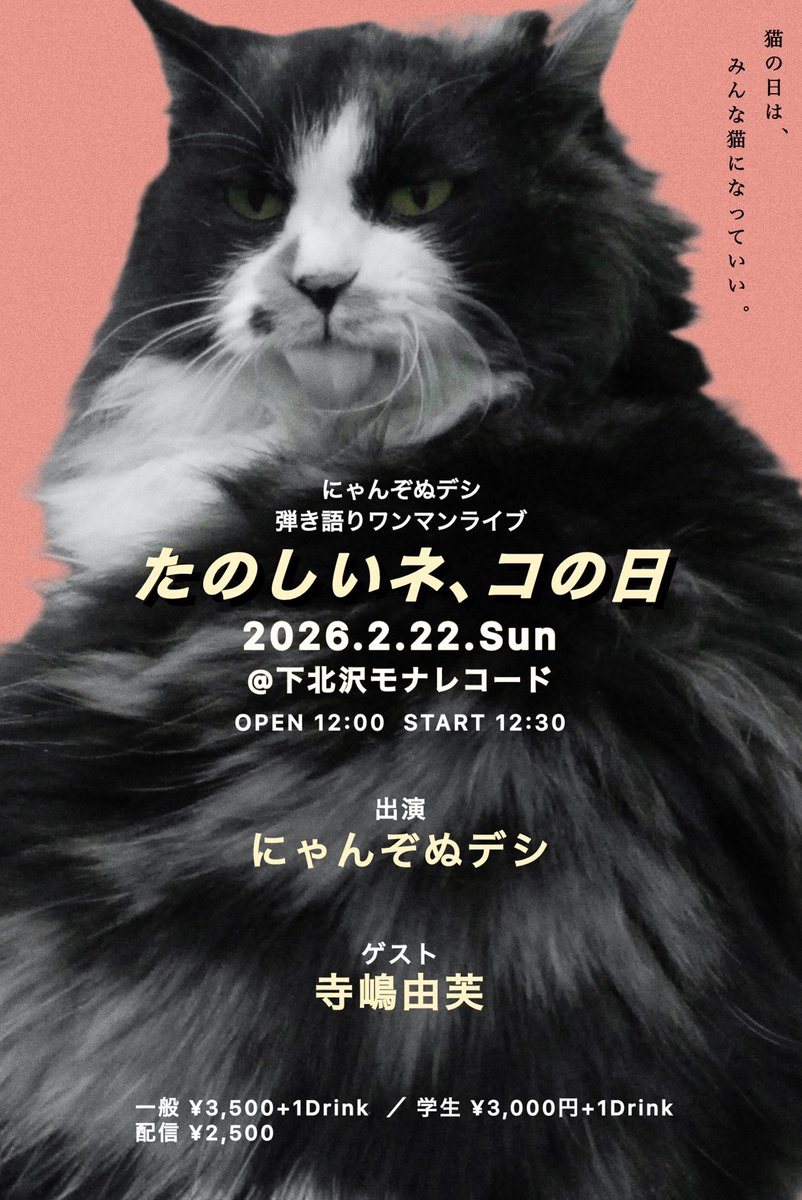 ねこの日おめでとう MUSIC FESTIVAL (@happycatday222) / Posts / X